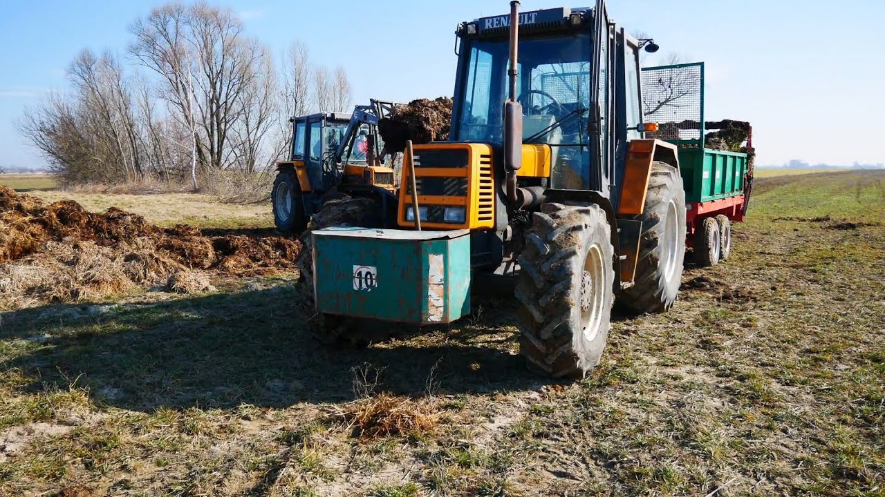 🔥Rozrzucanie obornika 2025🔥/2xRenault/🔥