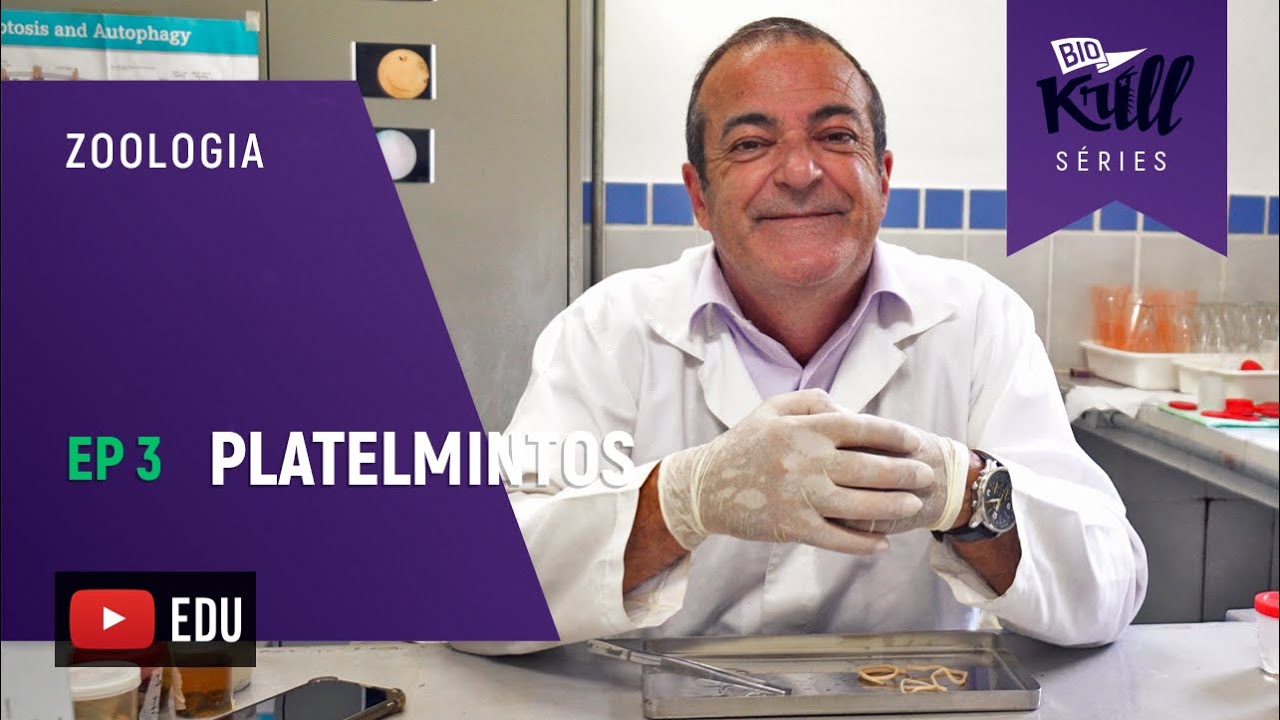 PLATELMINTOS (Zoologia - EP3) | Biokrill Series