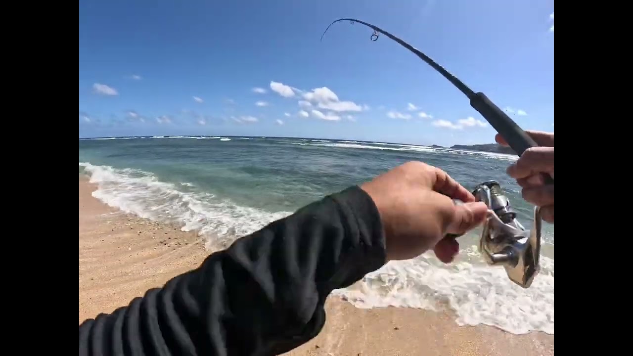 Fishing Papio: Patience