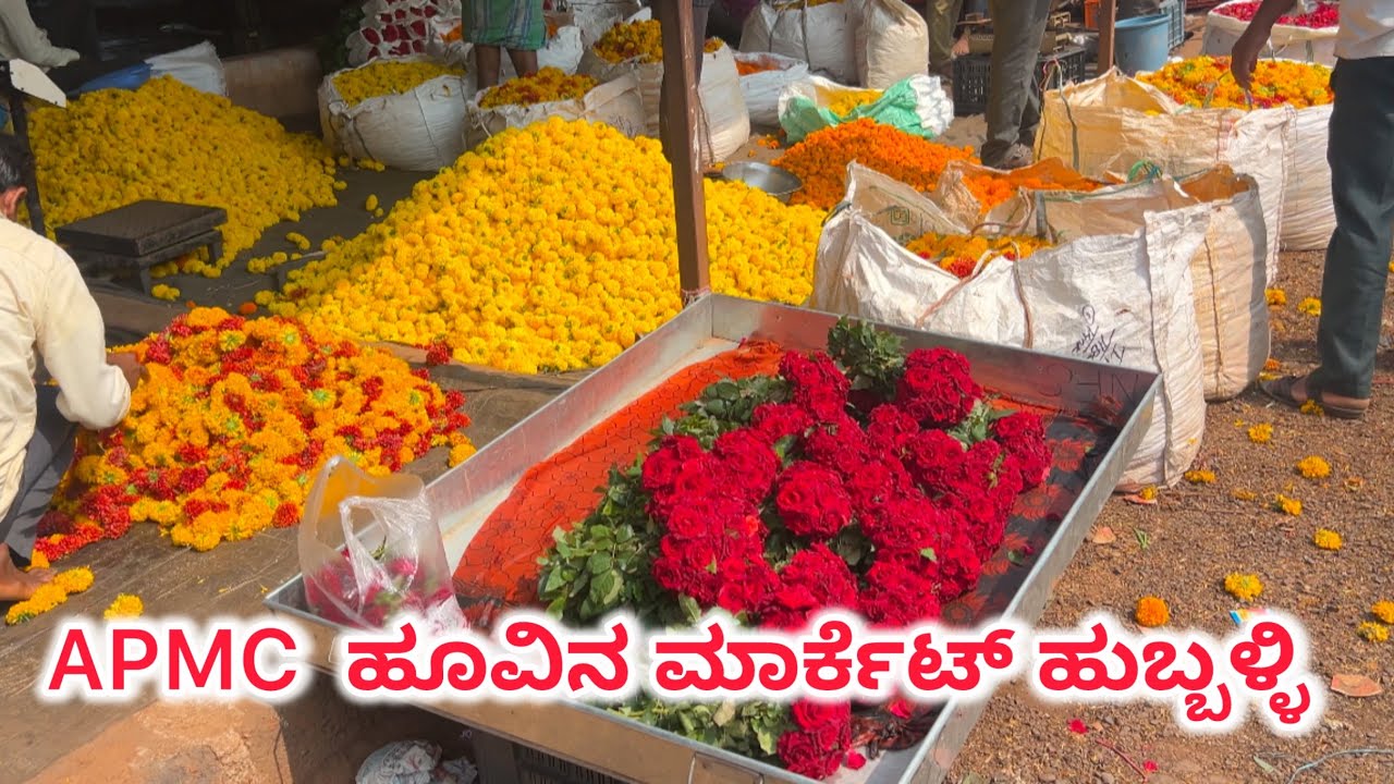 APMC ಹೂವಿನ ಮಾರ್ಕೆಟ್ ಹುಬ್ಬಳ್ಳಿ.