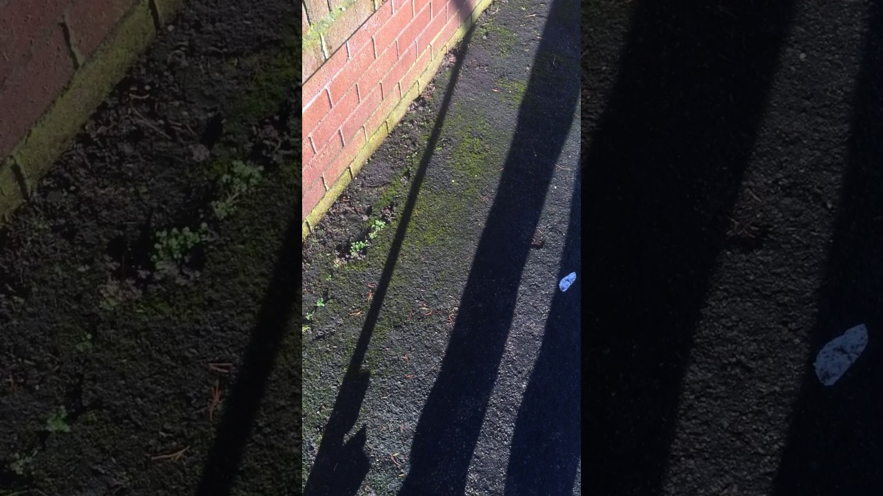 How to remove moss on driveway patio