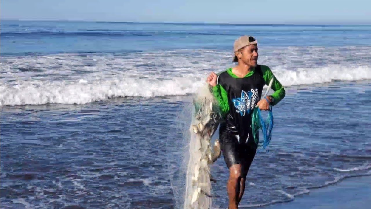 Estos pescados solo se agarran en el fondo del mar 😱😱