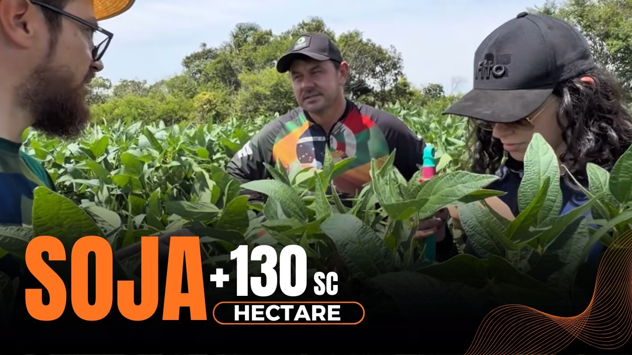 SOJA DE 130 sc