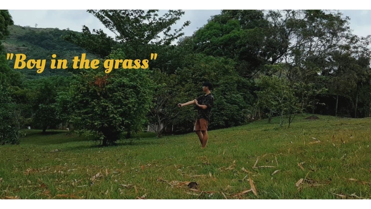 BOY IN THE GRASS (visual poem)
