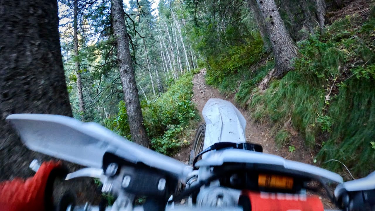 bear canyon trail