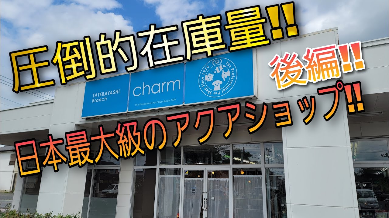 圧倒的在庫量‼日本最大級のアクアショップ後編‼　aquarium　アクアリウム