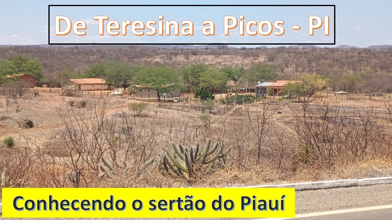 Realidade da seca no sertão