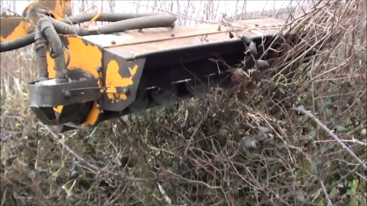 Field hedge trimming