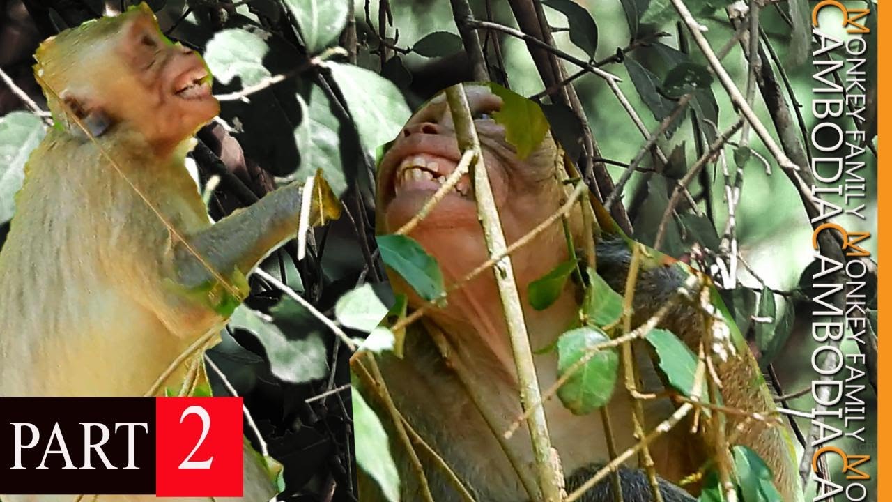 Deadliest Attack Janet | Episode 1 Part 2- Tear of Janet After Queen Aggressively Attacked