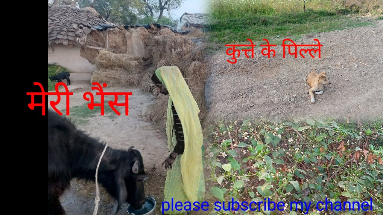 गांव का काम कितना मुश्किलभारा