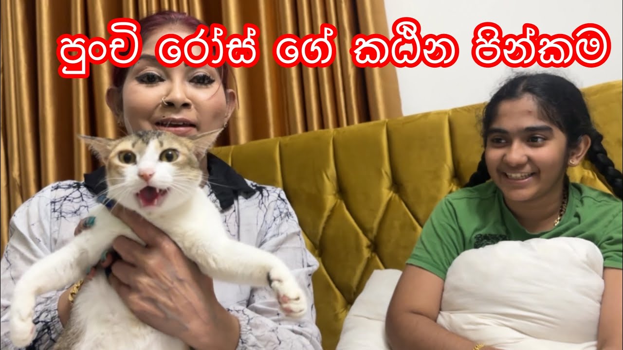 වයසෙන් පුංචි වුණත් ලොකු දෙයක් කරපු රෝස්! #anjalirajkumar #vlog #new #srilanka