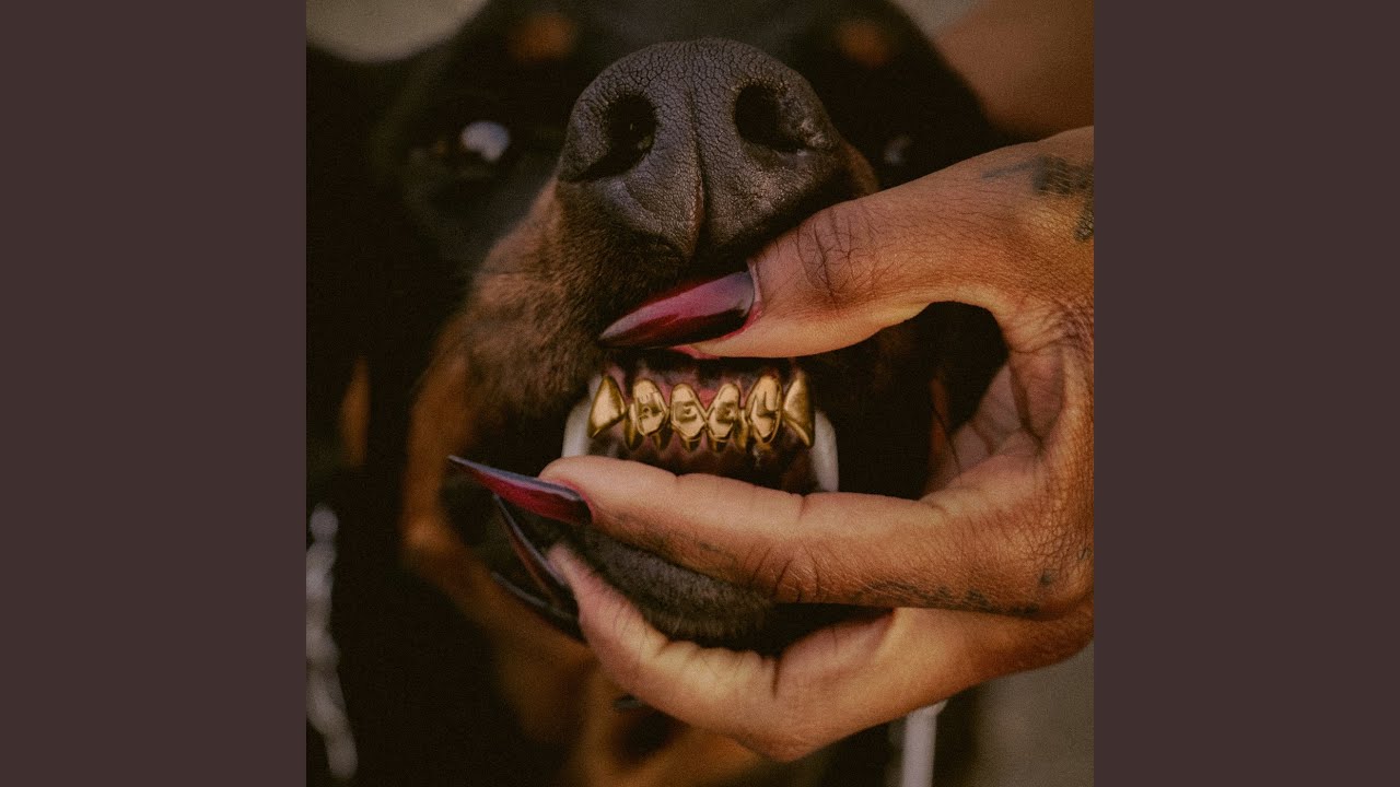 MUTT (CB REMIX)