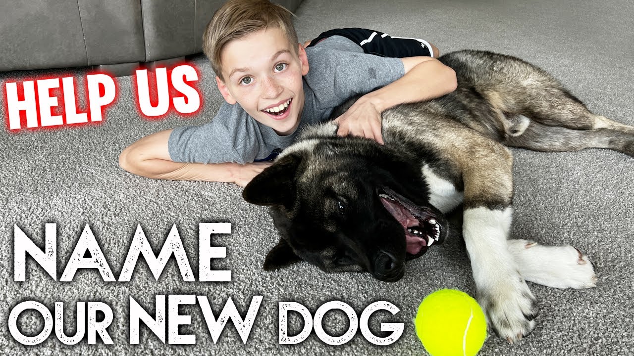 Help Us Name Our New Dog!