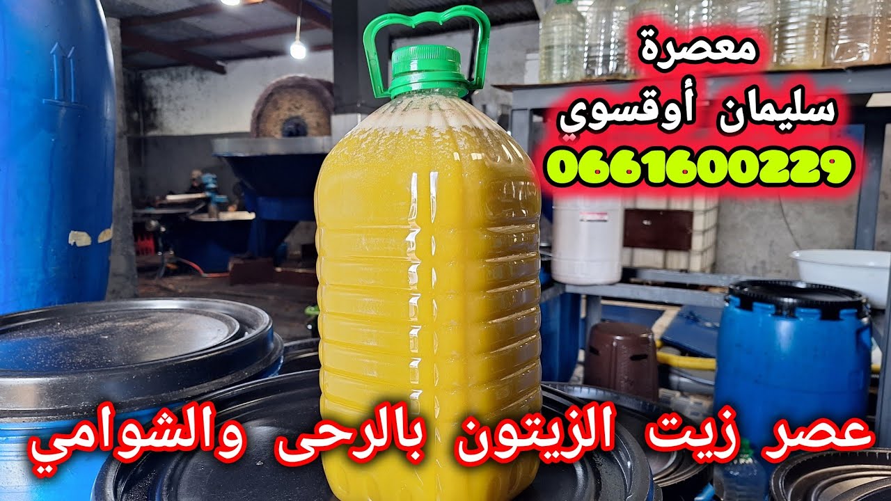 عصر زيت الزيتون بالرحى الكهربائية والشوامي بمعصرة سليمان أوقسوي بآيت عيسى عدي بآيت ولال ضواحي مكناس
