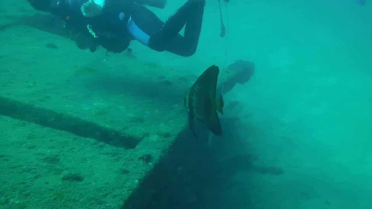 Diving &ldquo;The Barges&rdquo; sunken frosting piers at Grande Island, Subic Bay, Philippines