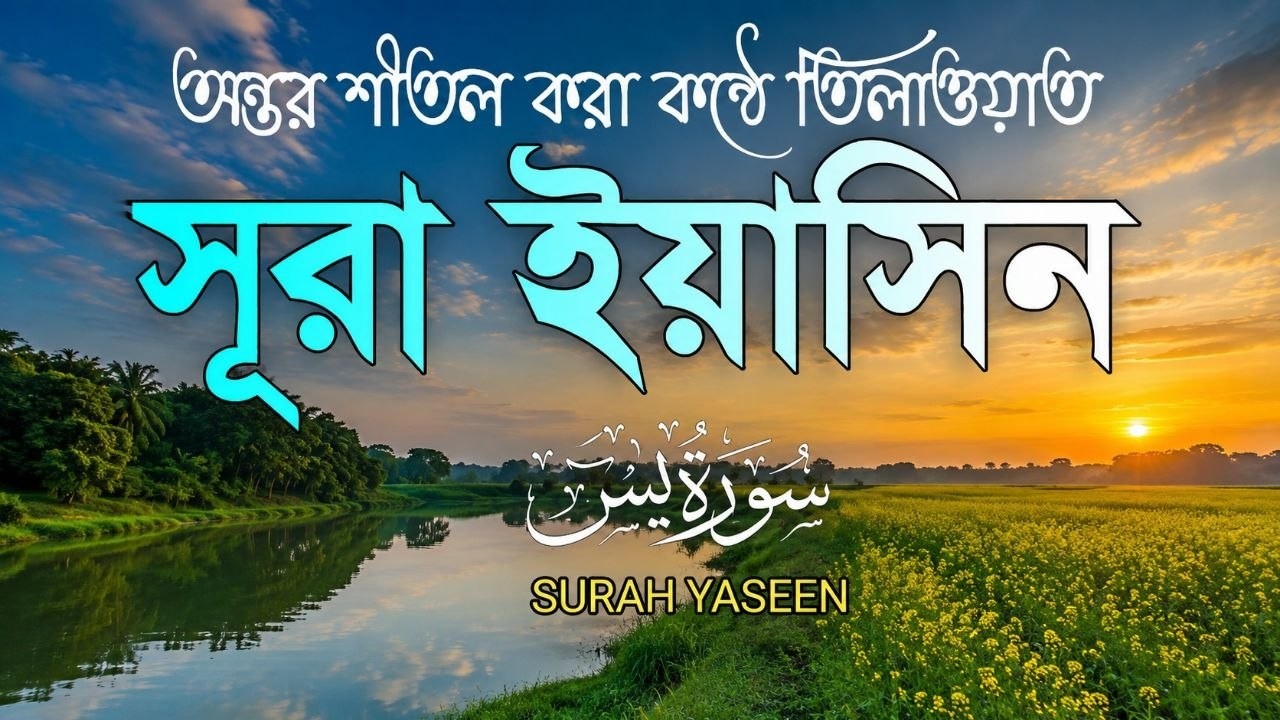 সকালের শুরু হোক সূরা ইয়াসীনের নূরে | প্রশান্ত হৃদয় ছোঁয়া তিলাওয়াত | سورة يس | Morning Surah Yasin