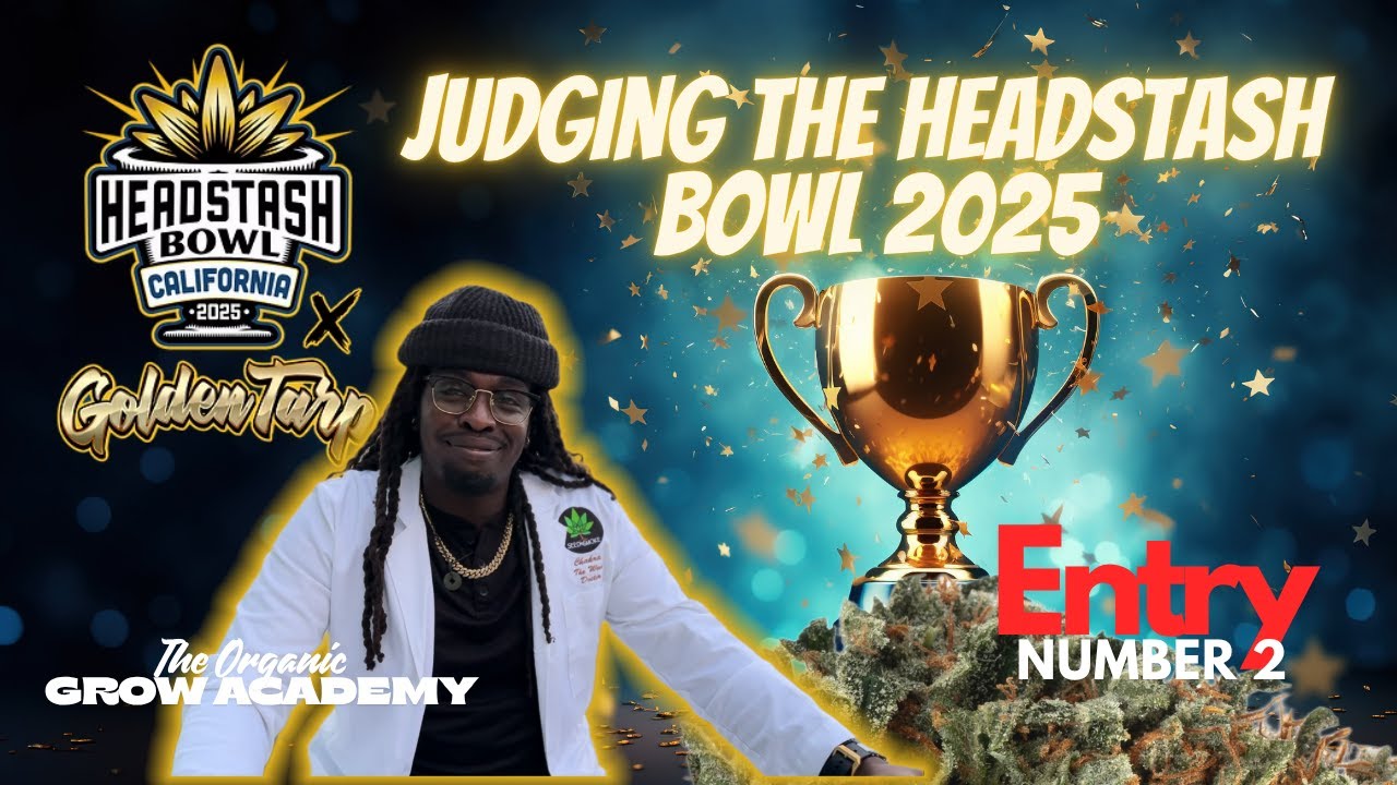 Judging the Headstash Bowl California | Indoor Cannabis Competition 2025 Part 1
