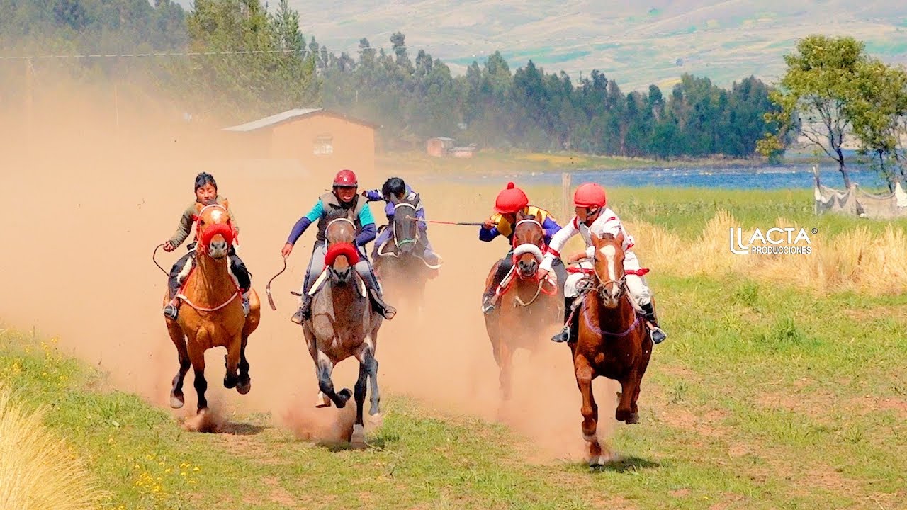 CARRERA DE CABALLOS LANGUI 2019 - SEGUNDO DIA -  LO MEJOR