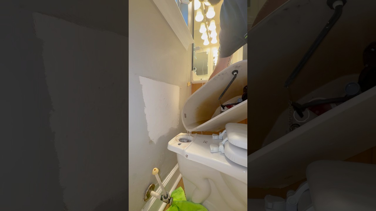 Rebuilding a Leaking Toilet Tank #plumbing #toilet #plumbingrepair #howto #diy #asmr #shorts