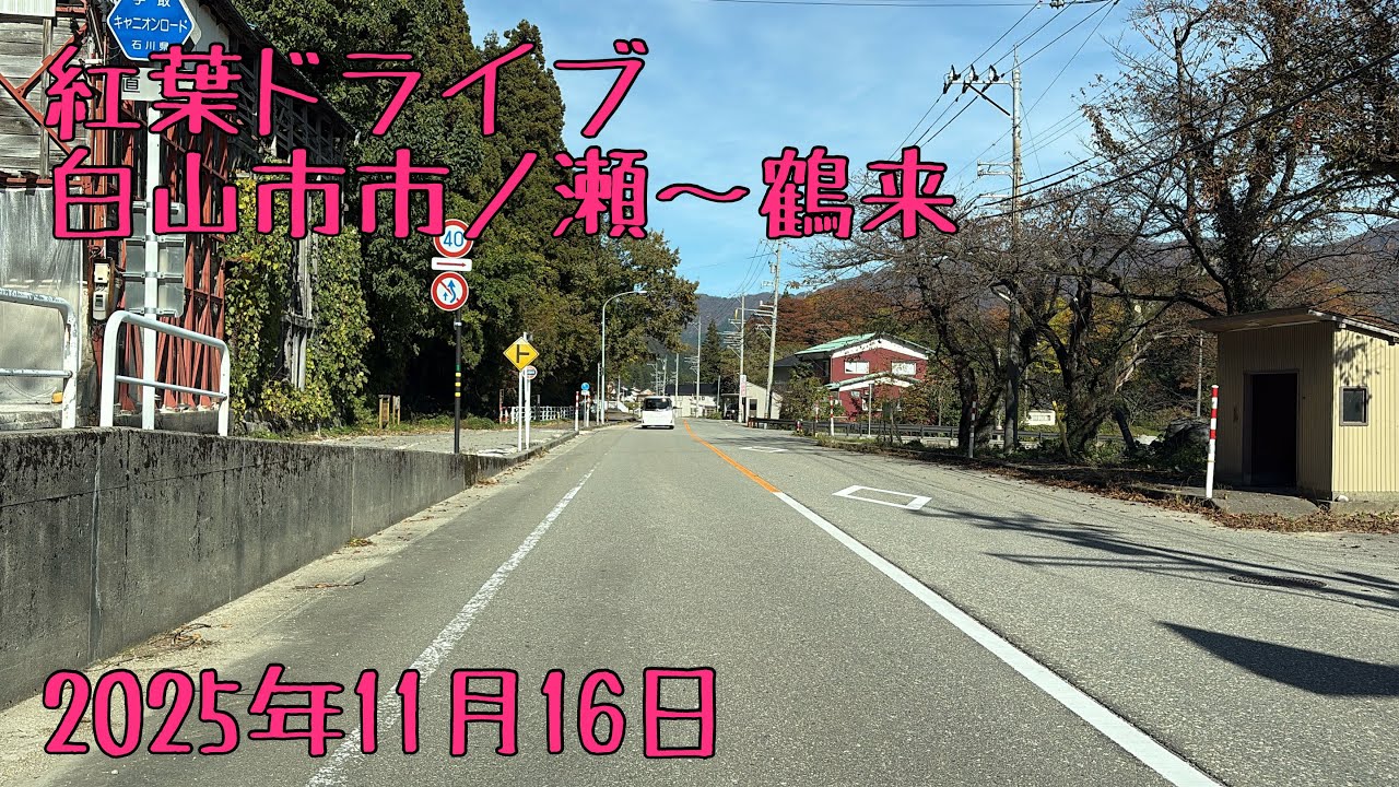 紅葉ドライブ（石川県白山市市ノ瀬～白山市鶴来大国町）の巻
