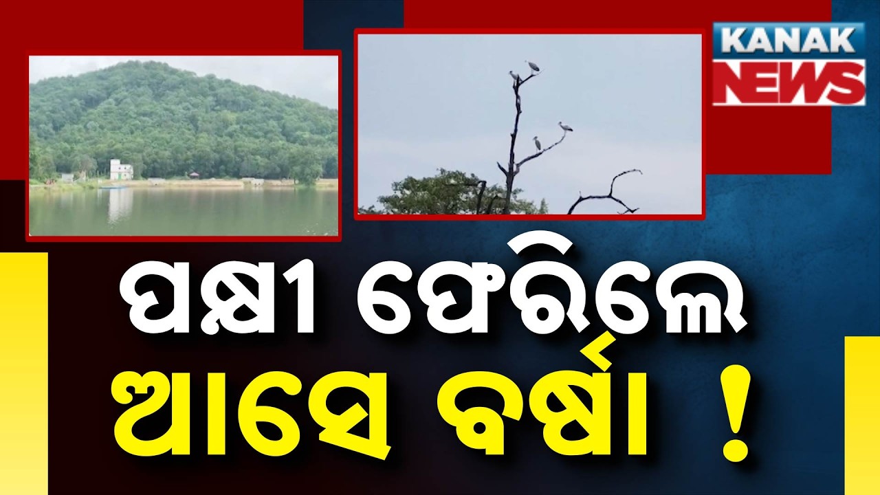 Nature&rsquo;s Weather Forecast! How These Birds Signal the Monsoon Before It Arrives