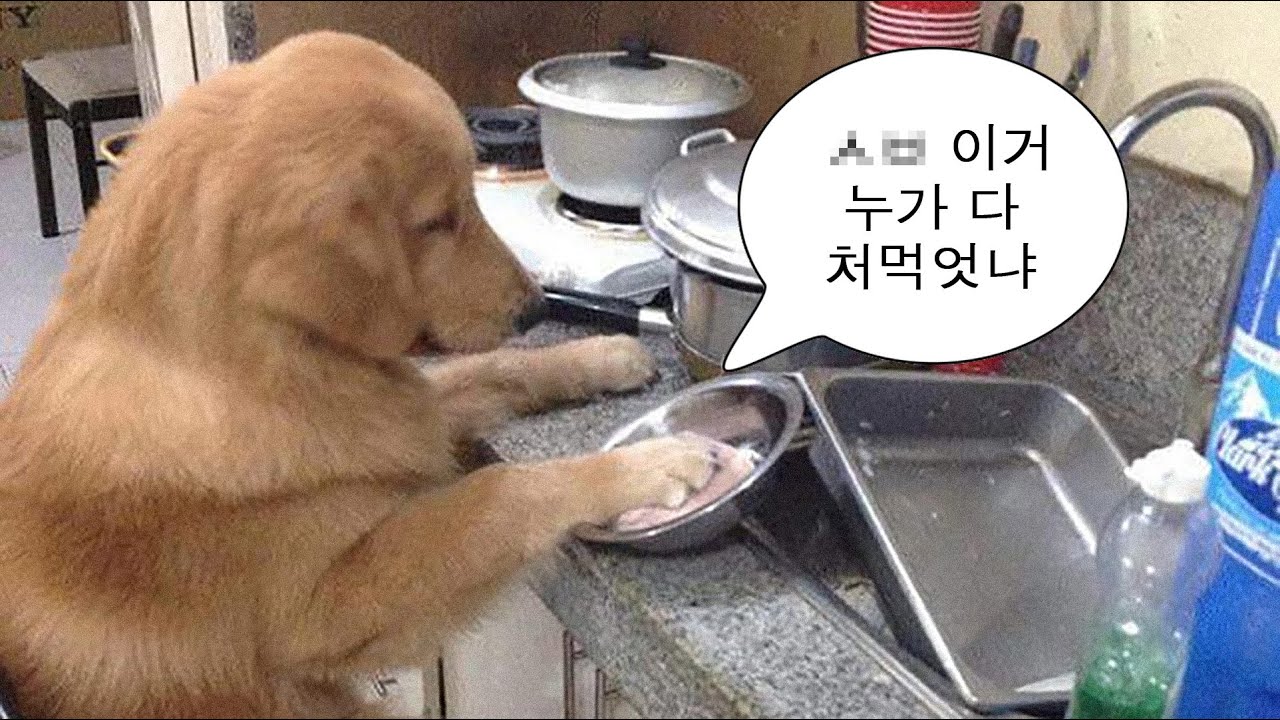 설거지 15분 안에 끝낸다