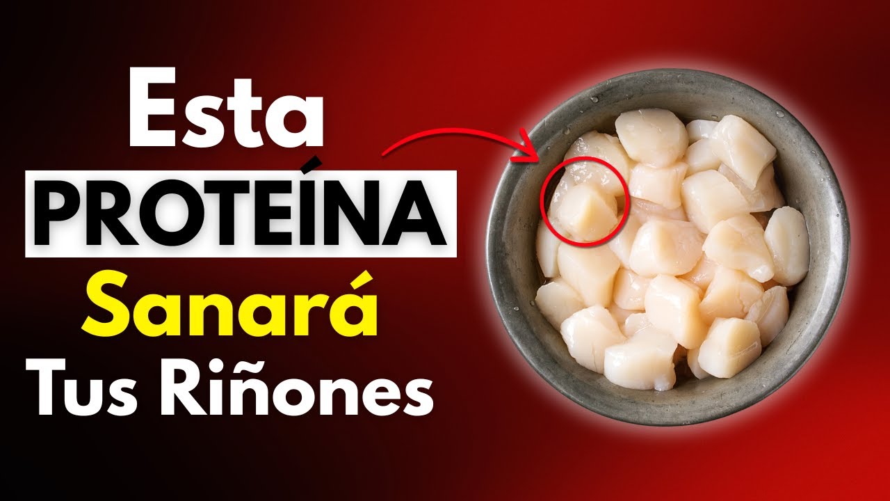 &iquest;CREATININA ALTA? 3 PROTE&Iacute;NAS que PUEDES COMER sin DA&Ntilde;AR tus RI&Ntilde;ONES y 3 PEORES que debes evitar YA