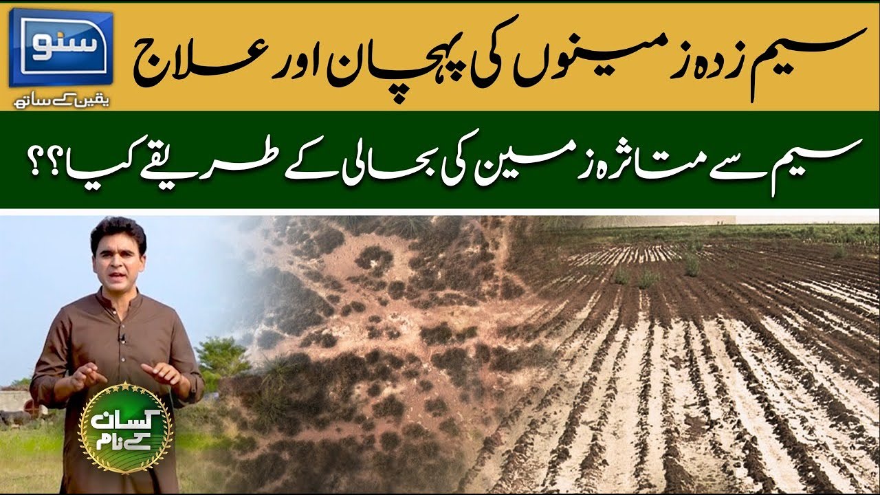 How to Identify Agricultural Land affected by Waterlogging? What is the solution Of Waterlogging?