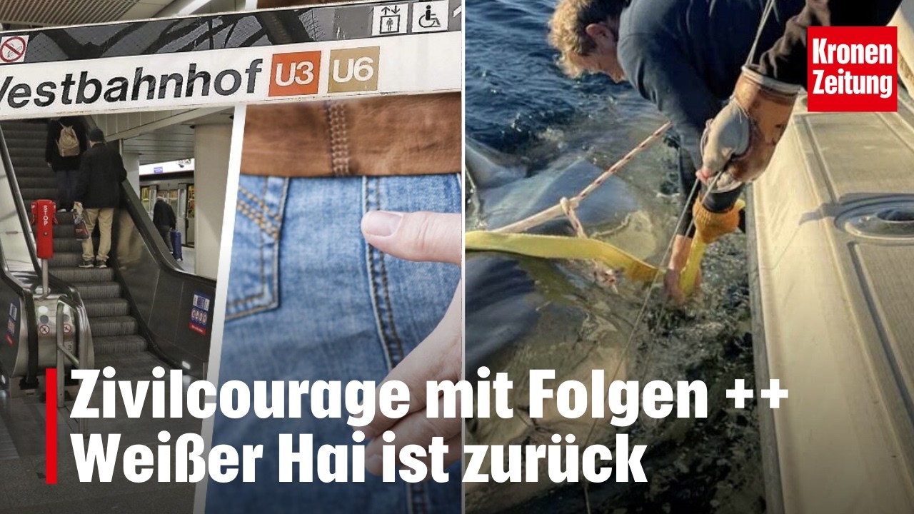 Zivilcourage mit Folgen ++ Größter weißer Hai ist zurück