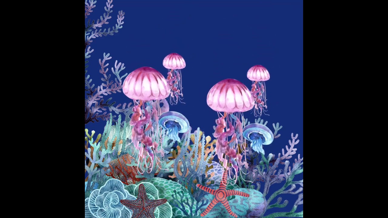Jellyfish 🪼 