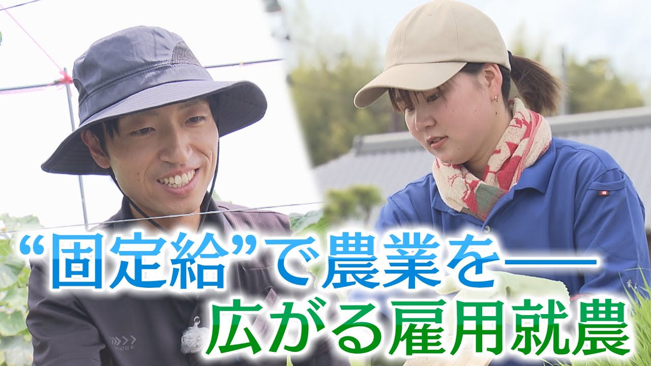 【特集】“固定給”で農業をー広がる雇用就農