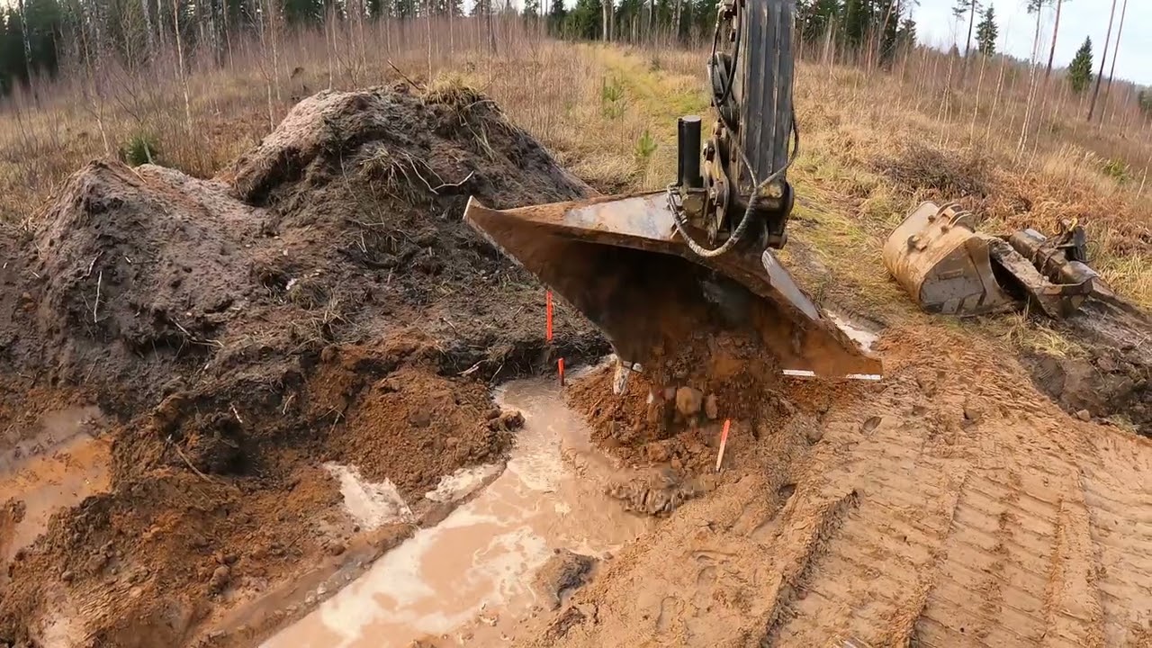 Кадры с лесных работ - Часть 10