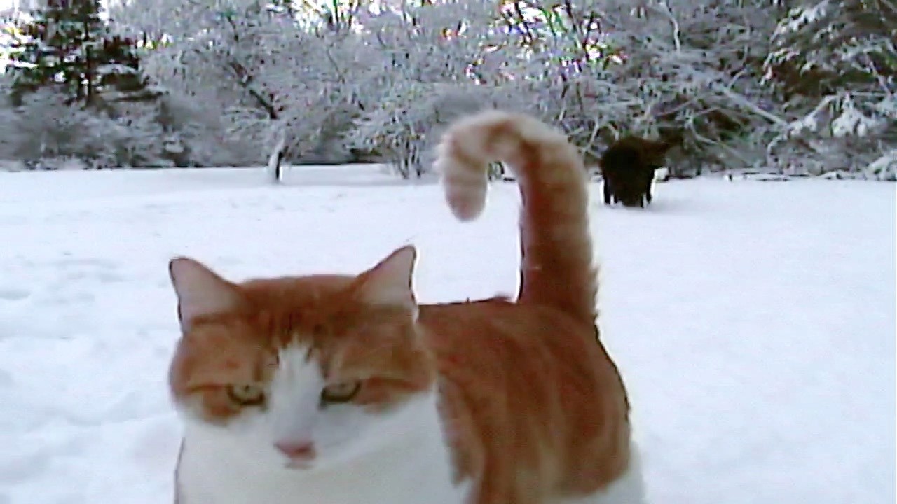 we'll be in the snow if you need us