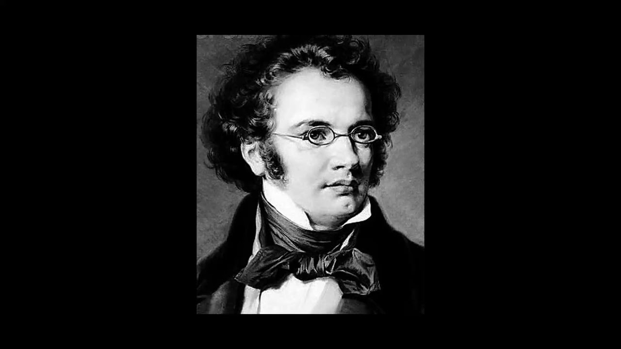 Serenade (Ständchen, D. 957) for orchestra _ by  Peter M. Hanna #orchestral