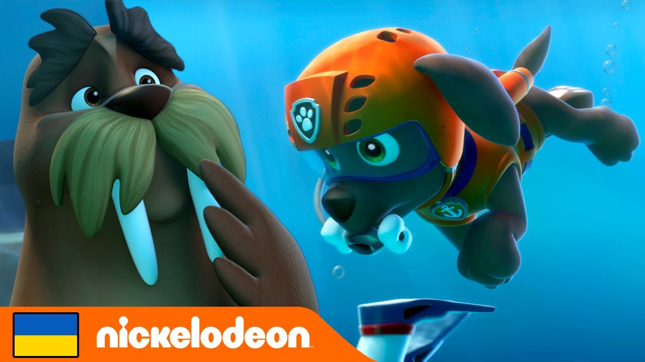 Щенячий патруль | Цуценята рятують моржа Воллі! | Nickelodeon Cyrillic