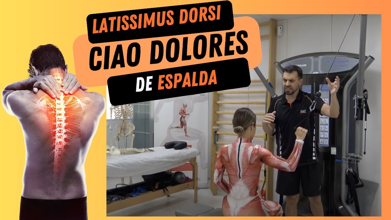 ACTIVA TU DORSAL y los extensores de columna para eliminar el dolor de espalda