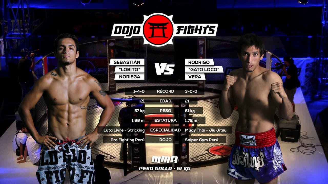 Dojo Fights 1: Sebasti&aacute;n 