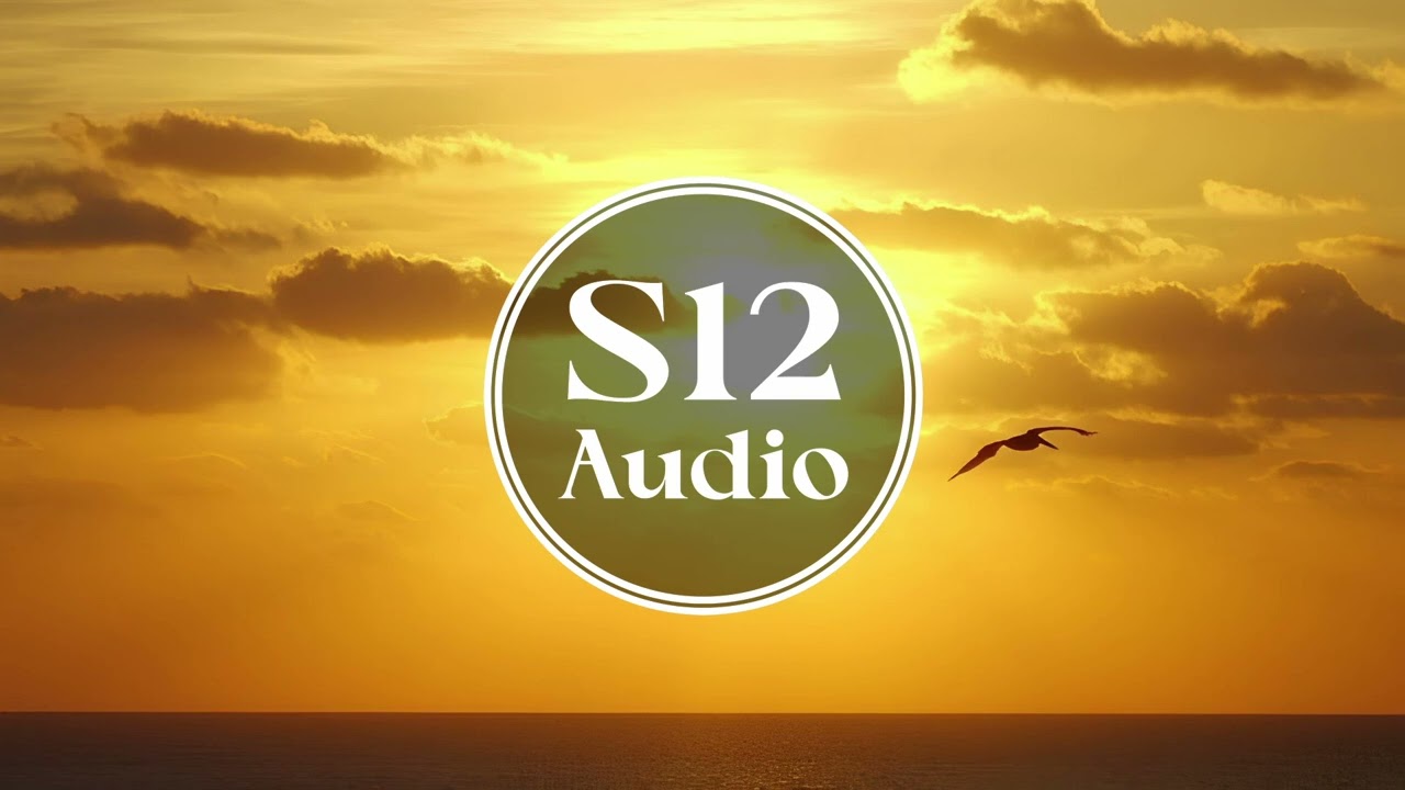 DJ Strong & Ensemble - Looking For Love | S12 Audio