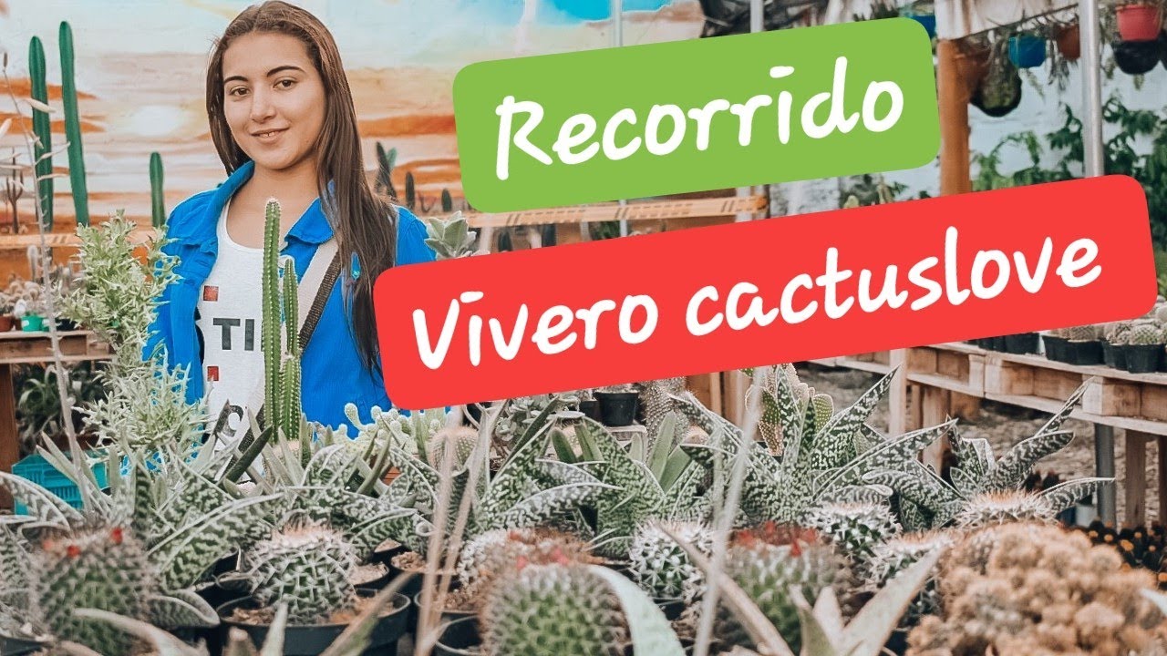 Cactus Lovers 🌵| Recorrido😍 | un para&iacute;so de cactus🌵 |