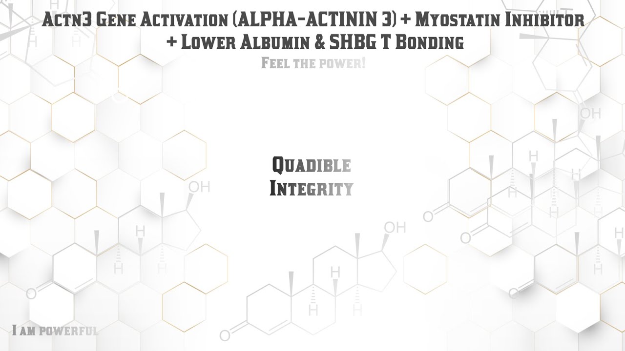 ★ACTN3 Gene Activation (Alpha-Actinin 3) + Myostatin Inhibitor + Lower Albumin and SHBG T Bonding★