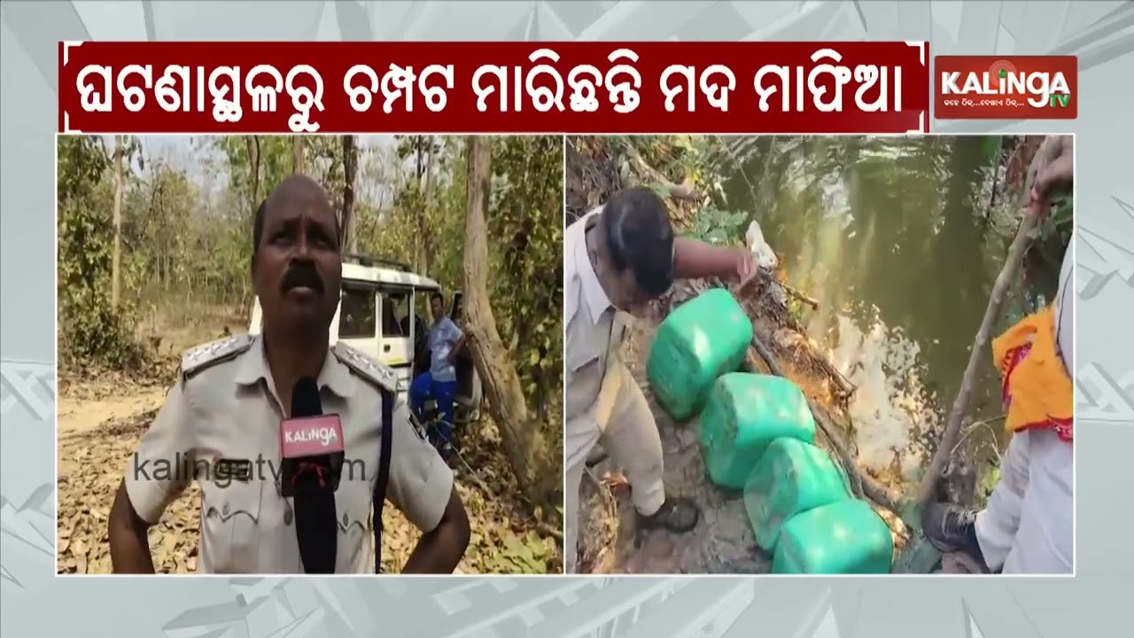 Khuntuni Police and forest official conducts raid at several forests in Athagarh | Kalinga TV