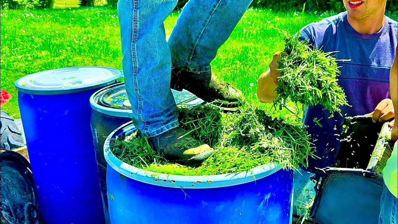 Making spring barrel silage!