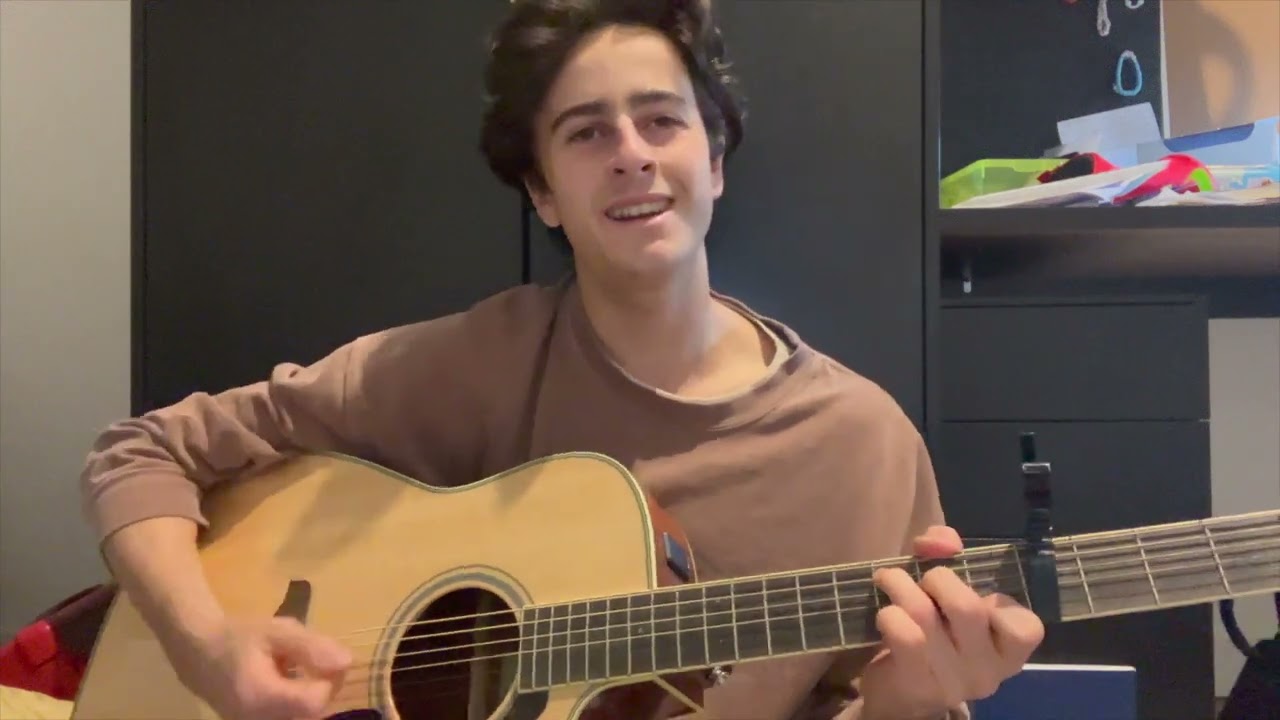 Fortnight - Taylor Swift and Post Malone Guitar Cover by Luca