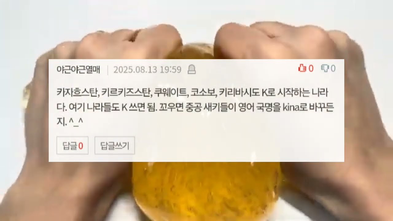 이제는 K-pop 단어 쓰지 말자고 함 소시액 시액 네이트판 썰 액괴 시액 소시액