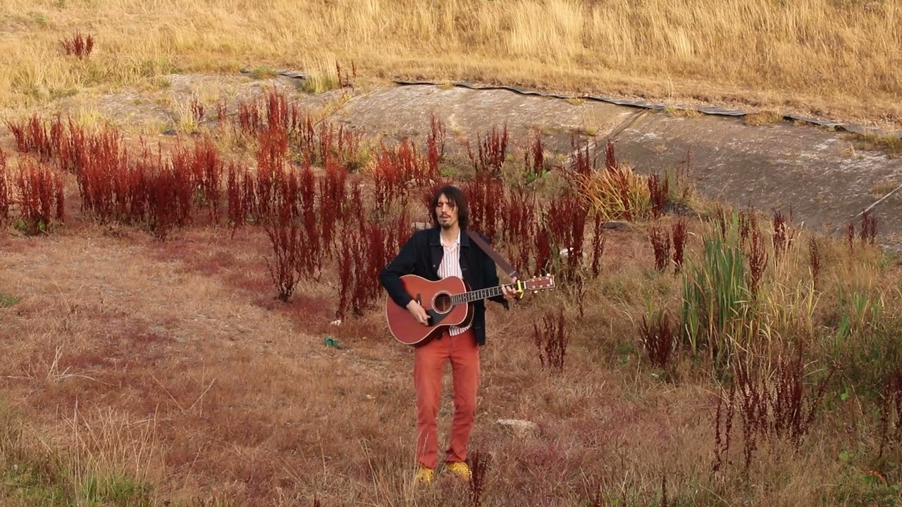 David William - Why Do You Run {Version 2} (Live Acoustic - August 2025)