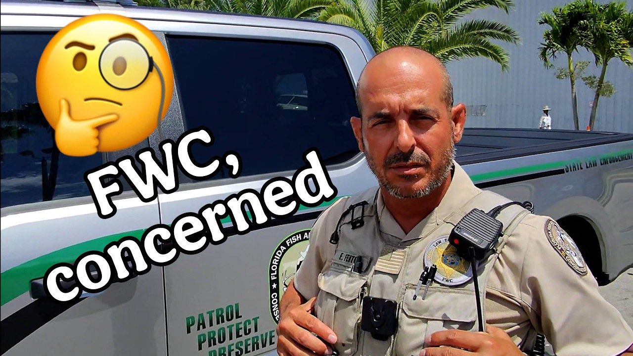 Полиция (FWC) обеспокоена судьбой этой рыбы!
