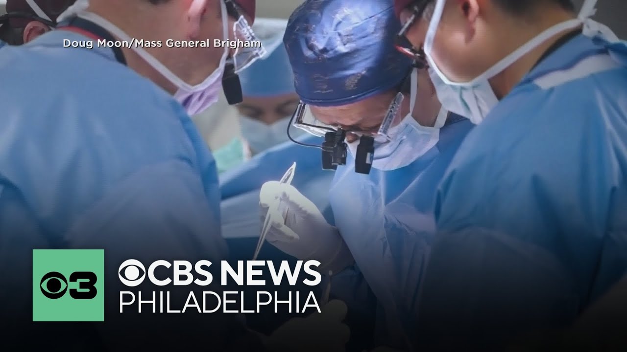 Pig kidney transplant success leads to new clinical trial