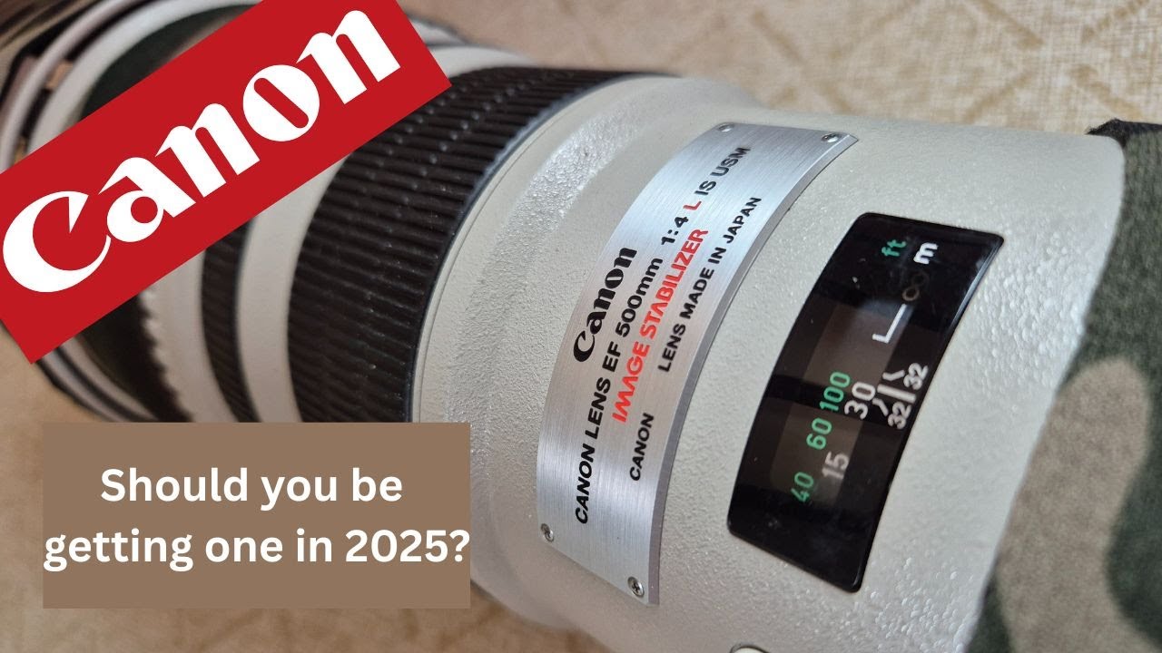 Canon EF500mm L F4 IS - Should you get one in 2025?