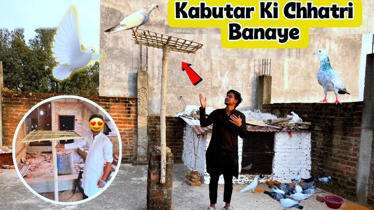 🕊️Kabootar ki Chhatri Banana Sikhe 😍|| How To Make Pigeon Chhatri || कबूतर की छतरी कैसे बनाए?