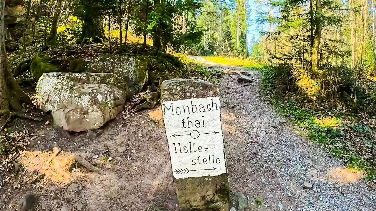 Nagoldtal/Monbachtal | Schwarzwald